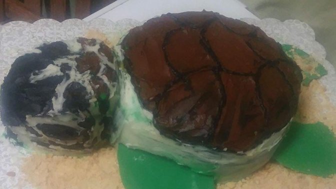 What do you think of this cake I made when I was 16?