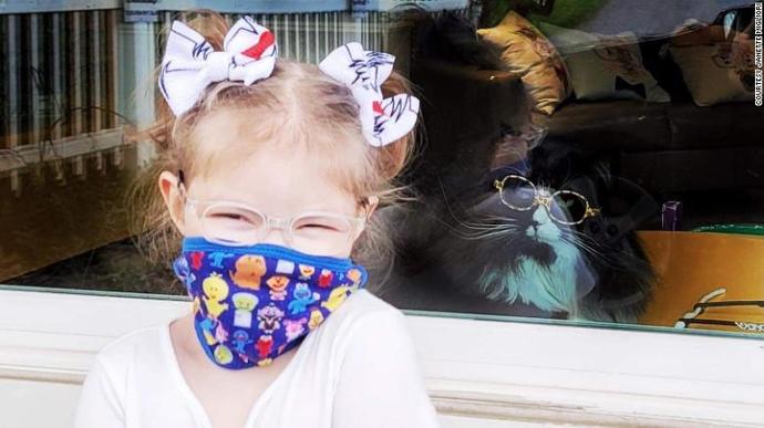 Are Cats Smarter than Anti-Vaxxers?
