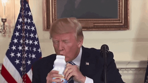 Would Biden win over 90% of Republican voters if Joe would just simply Grab Her By The Pussy while Drinking Bleach ?