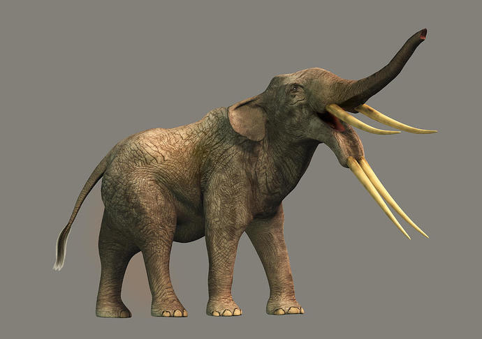 Which extinct elephant reminds you most of the mumakil from LOTR, Palaeloxodon namadicus or Stegotetrabelodon?