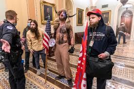 Were the capitol Hill protesters Trump supporters or Blm disguising themselves as Trump supporters?