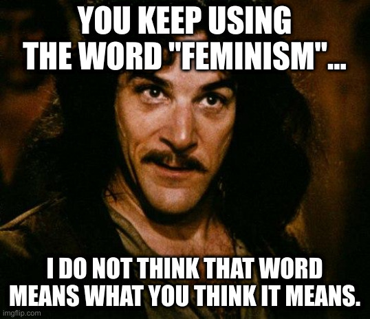 What are your thoughts on feminism?