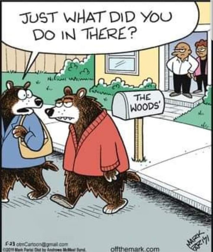 What does a bear do in the woods?