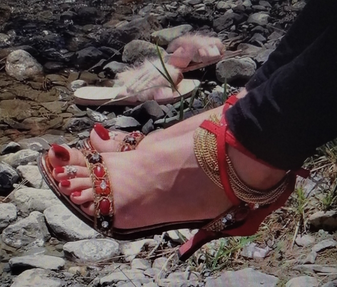 Elegant Desi Feet