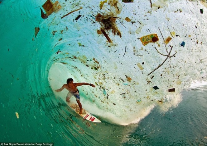 Because of all the trash left on the beach