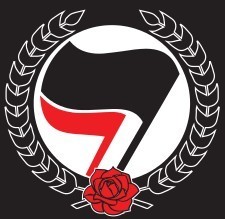 What are your thoughts on Anti facism?