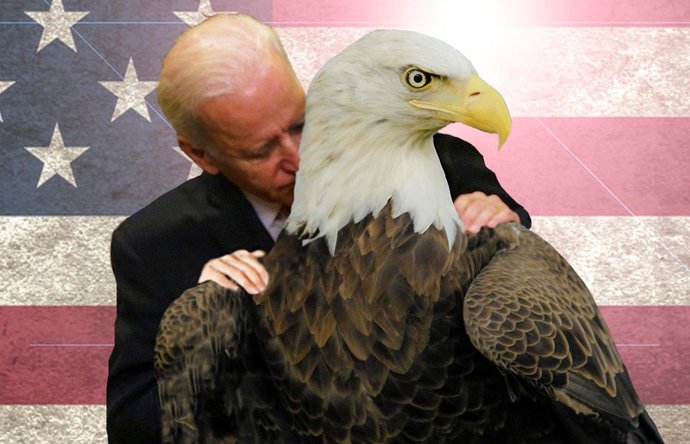 Do you believe Trump won in 2020?