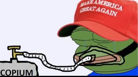 Do you believe Trump won in 2020?