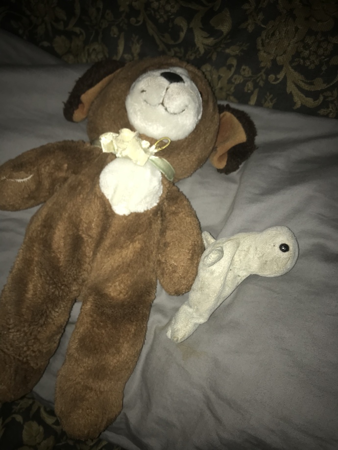 My dog and seal