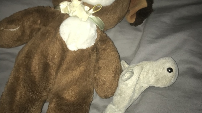 I am a grown woman and I still need my childhood stuffed animals to fall asleep. I have an anxiety disorder and the stuffed animals help me. You?