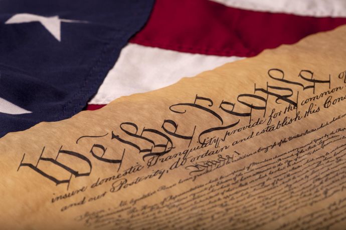 Why are so many US citizens in such a hurry to give up their Constitution and Bill Of Rights?