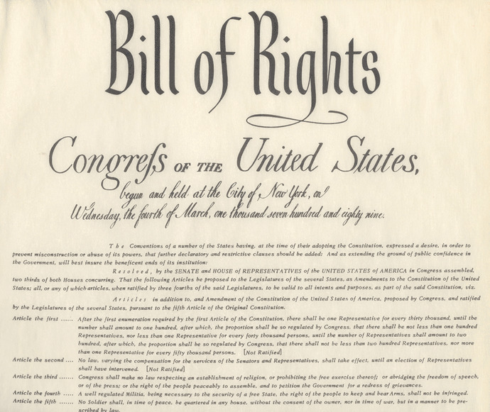 Why are so many US citizens in such a hurry to give up their Constitution and Bill Of Rights?
