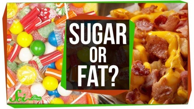 What will you consider is worse have fat or sugar in your system?