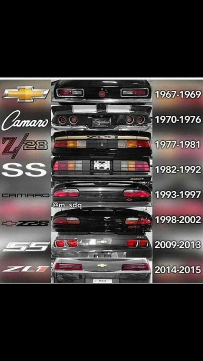 the rears of each car