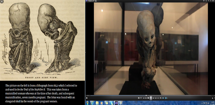 Did you know ALIENS are Fallen Angels?