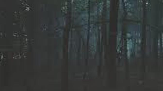 Are you afraid of being alone in the dark?