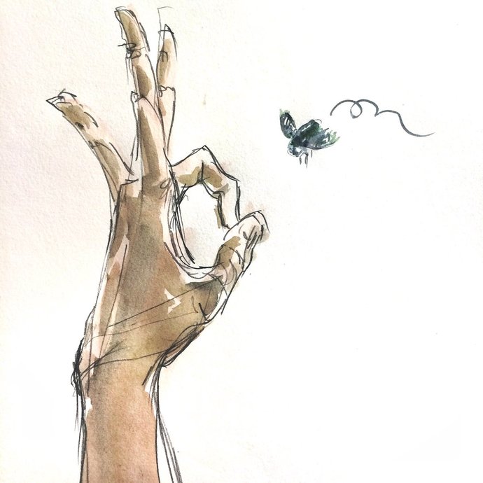 I wouldnt even hurt a fly. Is this true about yourself?