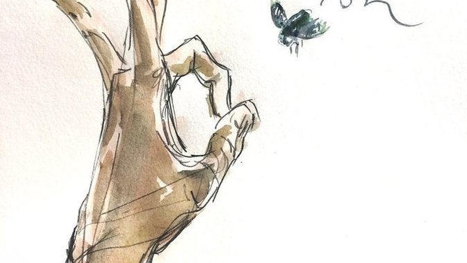 "I wouldn't even hurt a fly." Is this true about yourself?