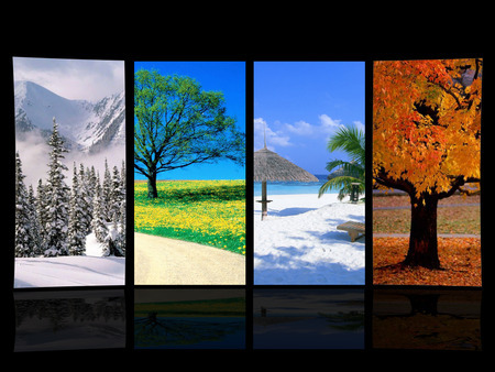 Do you prefer four seasons, perpetual summer or perpetual winter?