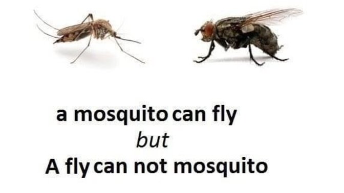Any ideas, what would you do?