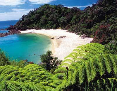 What's the most beautiful beach you've ever been to?