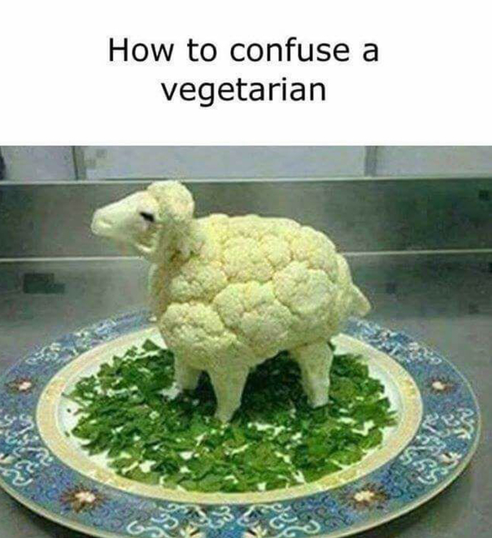 Are You A Vegetarian?