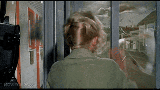 Are you afraid of birds?