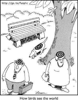 Are you afraid of birds?
