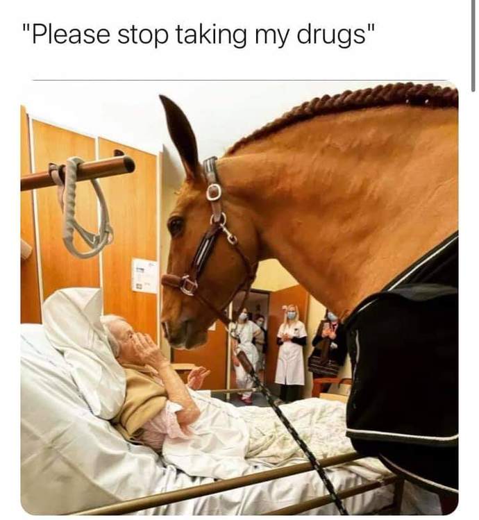 Those of you who had Covid, did you take horse medicine like some are doing?