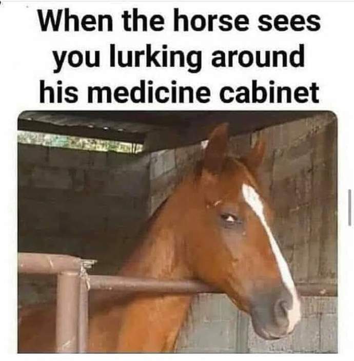 Those of you who had Covid, did you take horse medicine like some are doing?