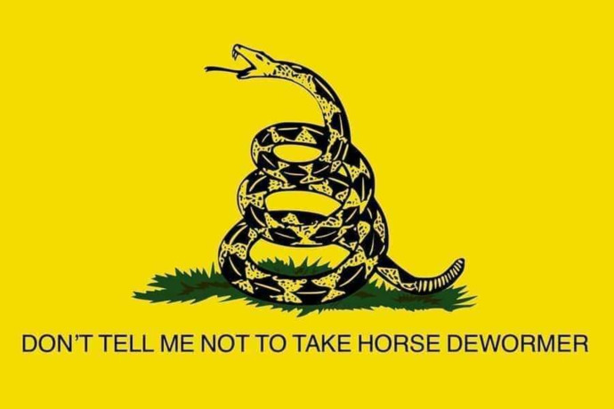 Those of you who had Covid, did you take horse medicine like some are doing?