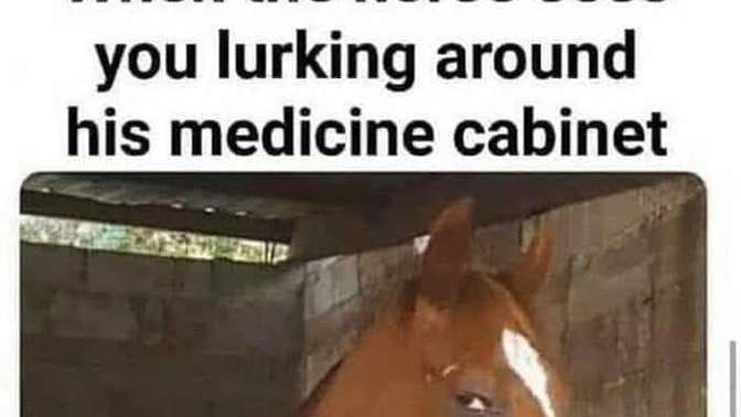 Those of you who had Covid, did you take horse medicine like some are doing?