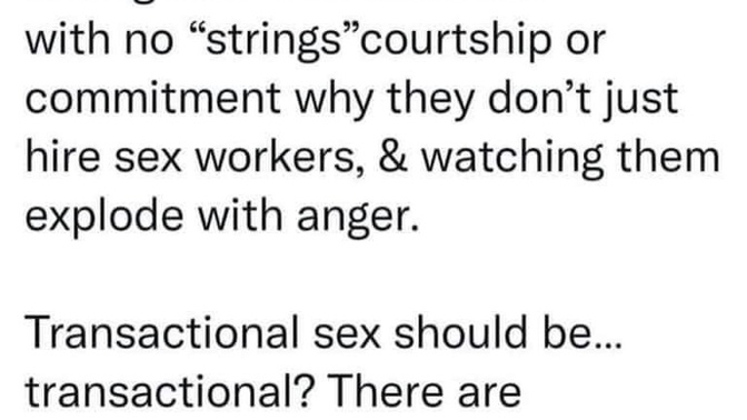 Why don’t men just hire a sexworker if all he wants is sex with no strings and stop going after women that want a relationship/commitment?