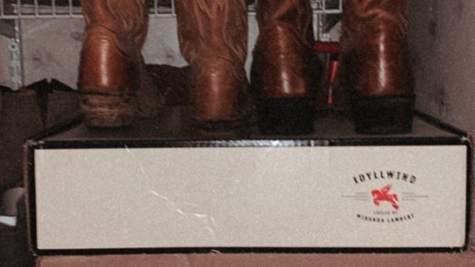 Cowboy boots, hawt or nawt?