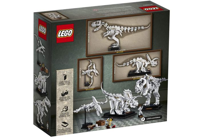 Which of these LEGO Idea sets is your favorite?