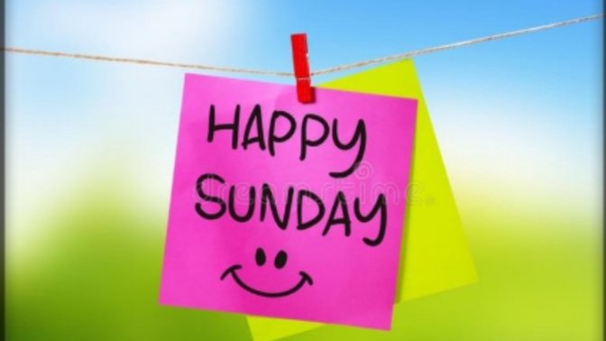 What are your plans for today?