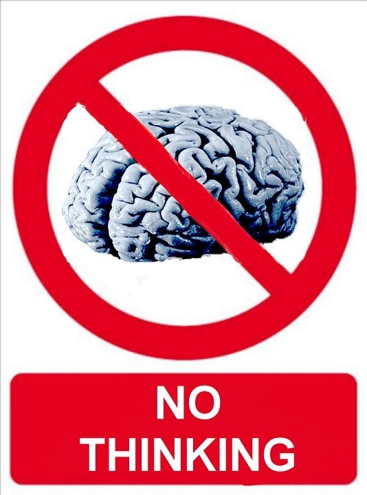Are humans generally becoming more stupid based on your observations?