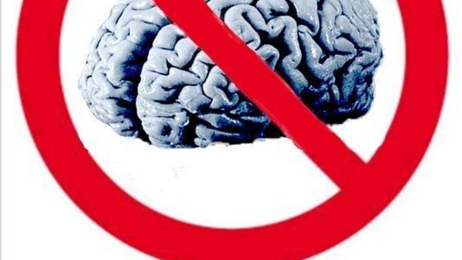 Are humans generally becoming more stupid based on your observations?