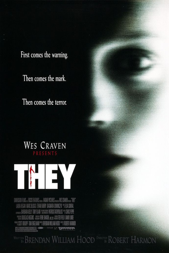 Americans ONLY: Who in the flying fuck are "They"?