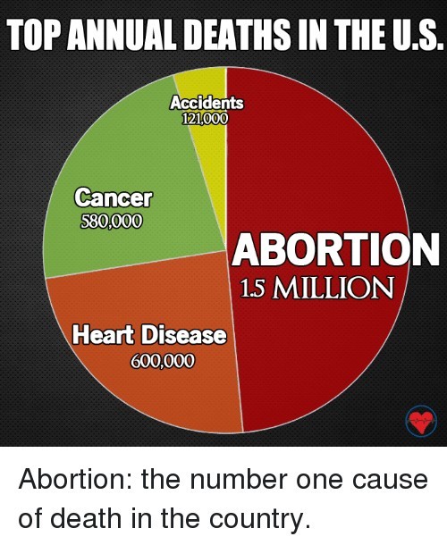Would you agree that an abortion of twins is a double homicide?