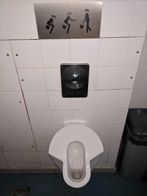 Girls have you ever peed in a men's urinal?