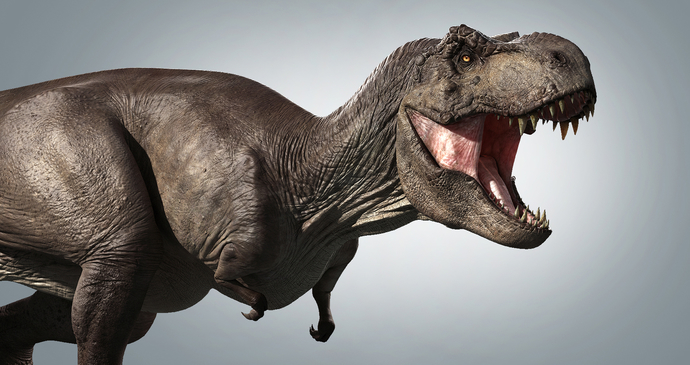Which of these animals or creatures do you like most (last one!)?