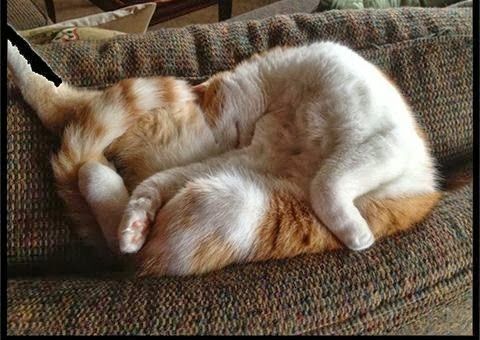 Another Ikea project went wrong.