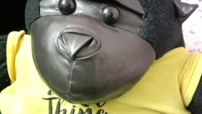 Do you own a cuddly toy?