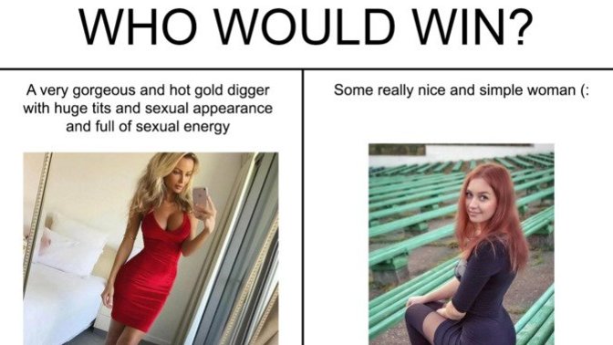 Who _ would _ win?