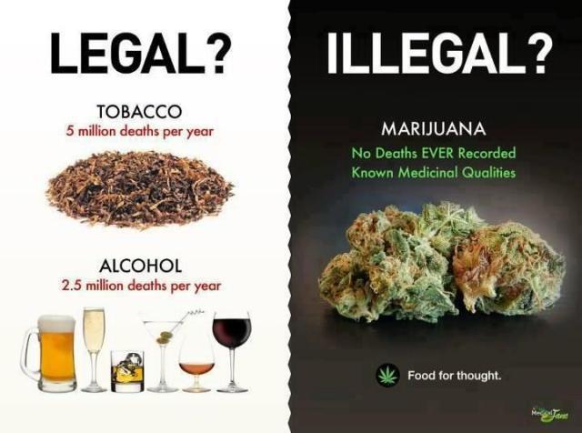 Why do you think many people have such a disdain or hate towards drug users?