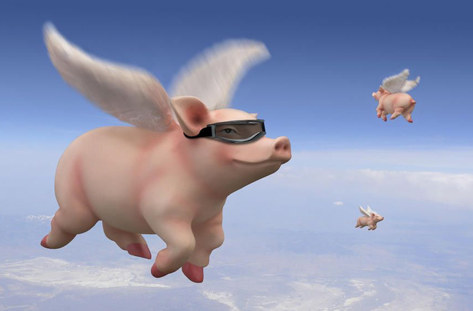 Other Than Birds What Animals Would You Like To See Fly?