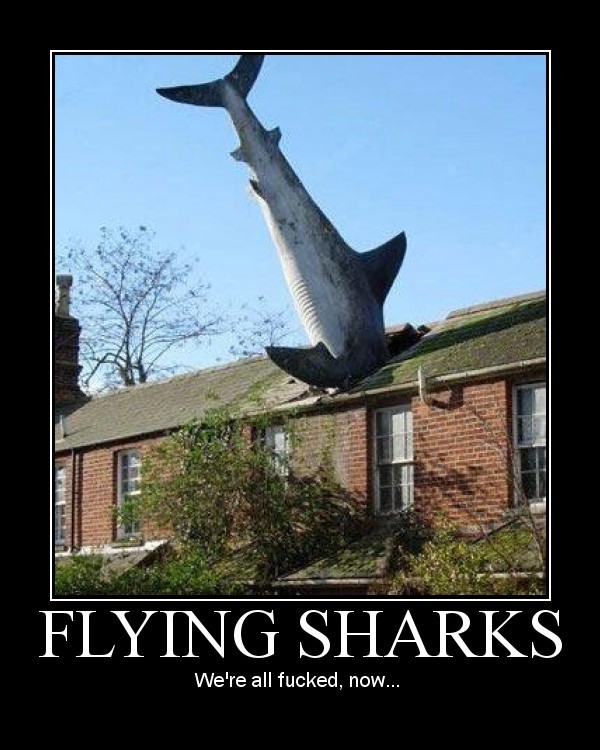 Other Than Birds What Animals Would You Like To See Fly?