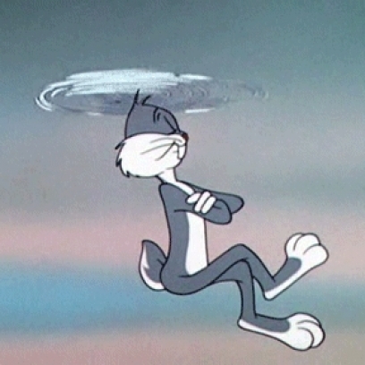 Other Than Birds What Animals Would You Like To See Fly?