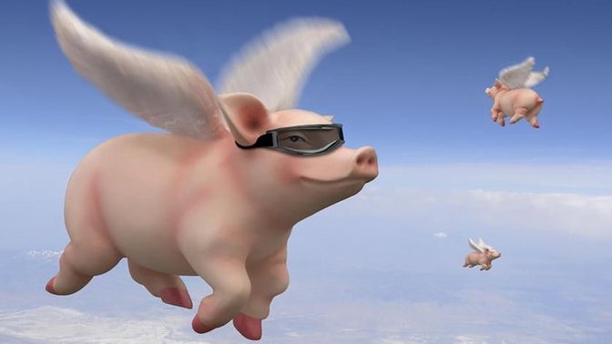 Other Than Birds What Animals Would You Like To See Fly?